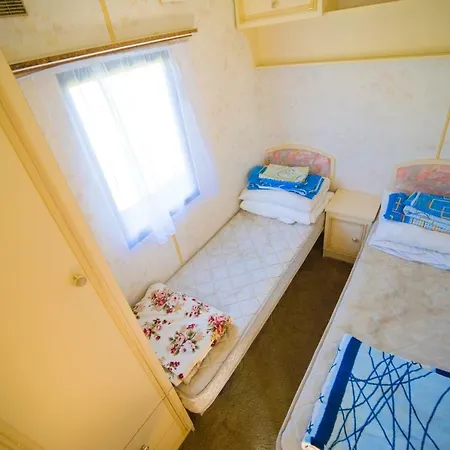 Holenderskie Red Ice *