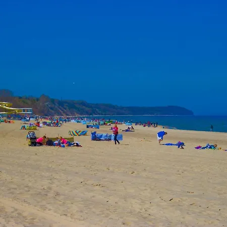 Holenderskie Red Ice Władysławowo