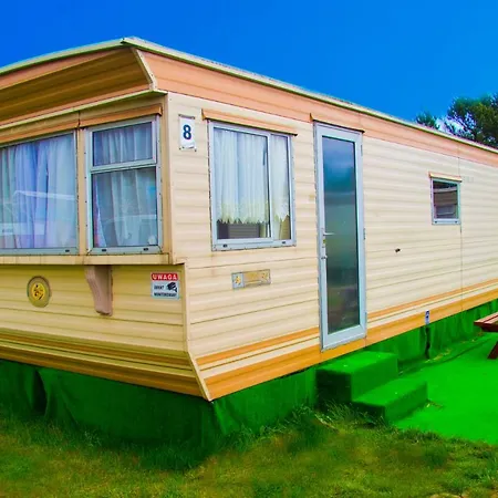 Holenderskie Red Ice *