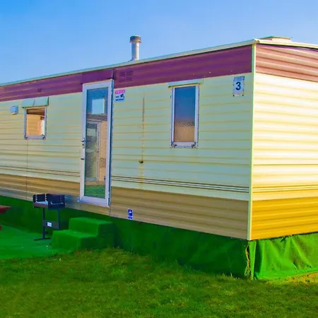 Holenderskie Red Ice *