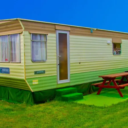 Holenderskie Red Ice *