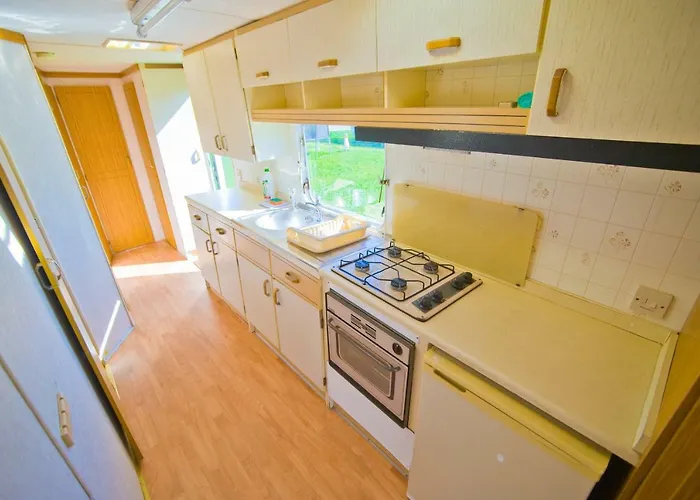 Holenderskie Red Ice *