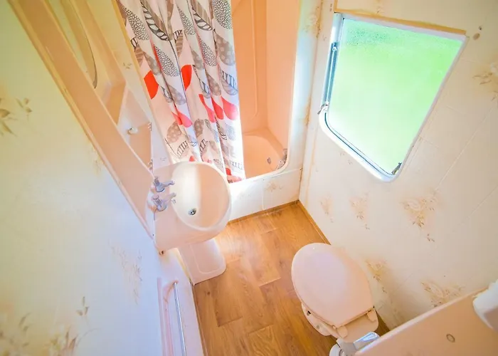 Holenderskie Red Ice * Władysławowo