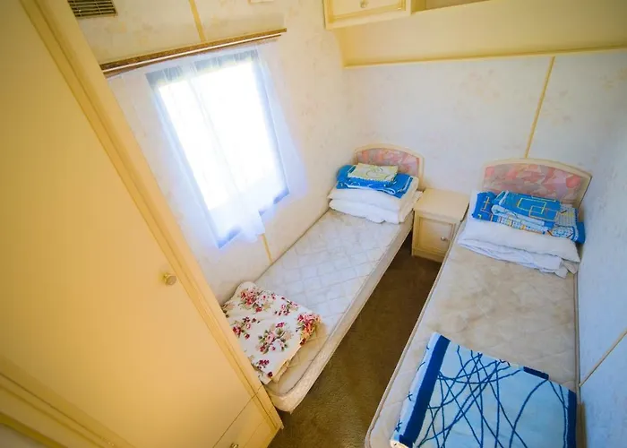 Holenderskie Red Ice *