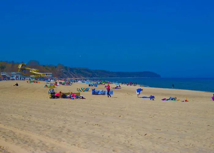 Holenderskie Red Ice Владыславово