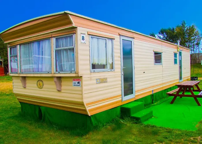 Holenderskie Red Ice *