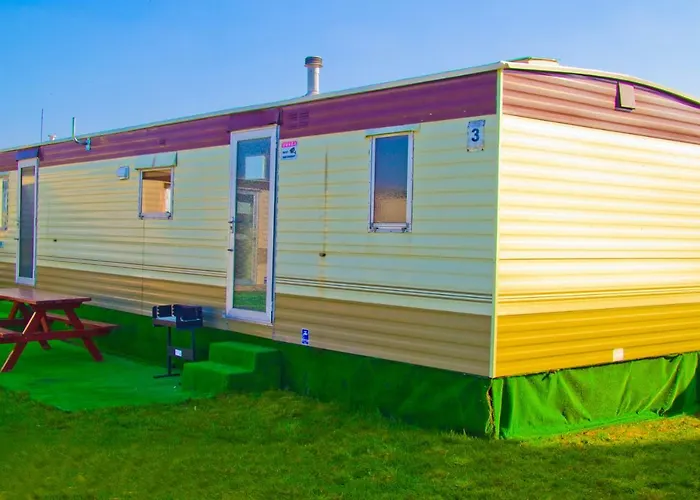 Holenderskie Red Ice *