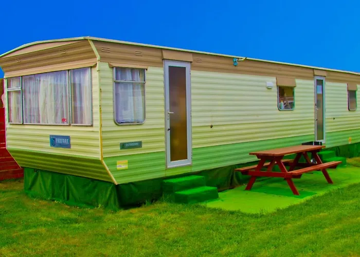 Holenderskie Red Ice *