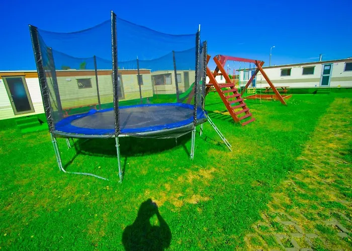 Holenderskie Red Ice * Władysławowo