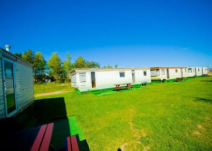 Holenderskie Red Ice * Владыславово