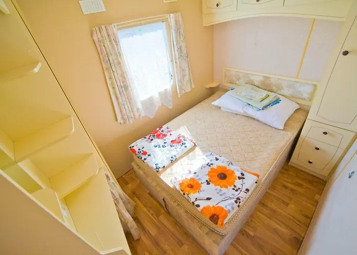 Holenderskie Red Ice