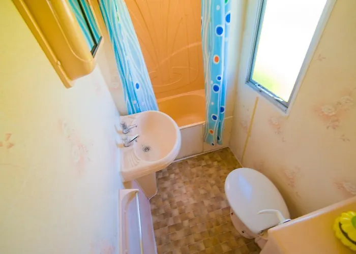 Holenderskie Red Ice *