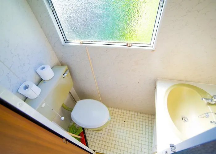 Holenderskie Red Ice Деревянный коттедж *