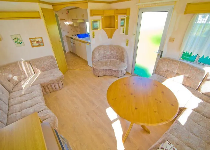 Holenderskie Red Ice *