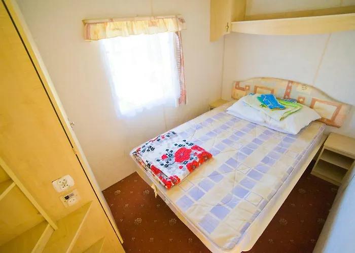 Holenderskie Red Ice Владыславово