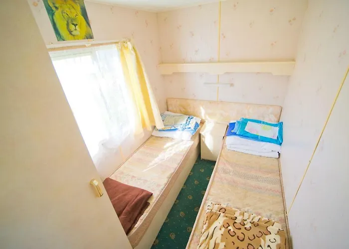 Holenderskie Red Ice